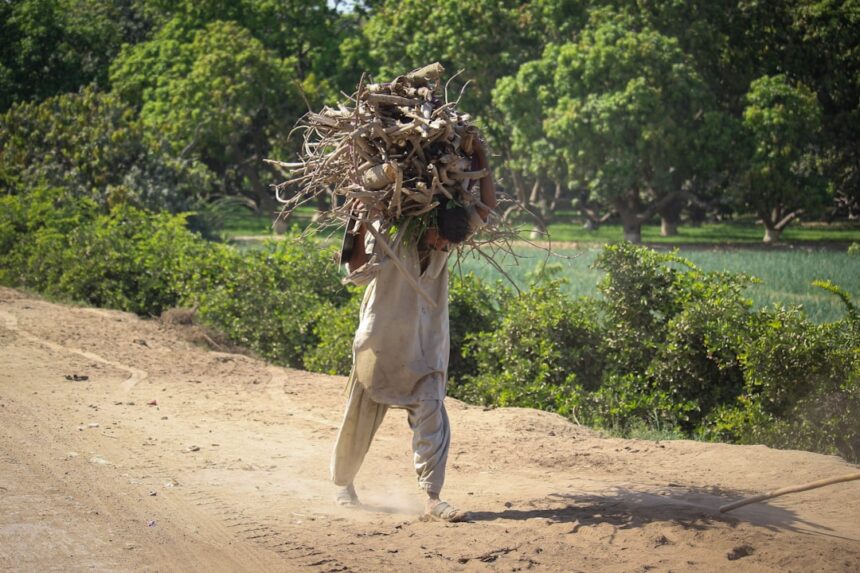 Photo sustainable work habits