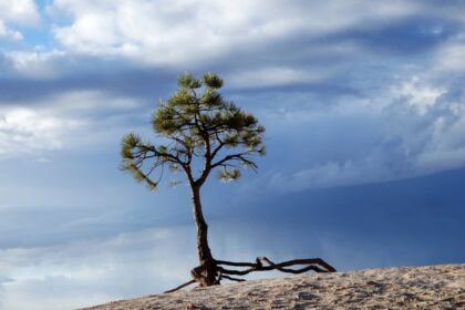 Photo emotional resilience framework