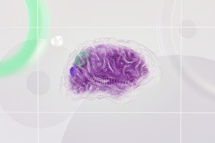 Photo amygdala threat detection