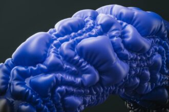 Photo prefrontal cortex regulation