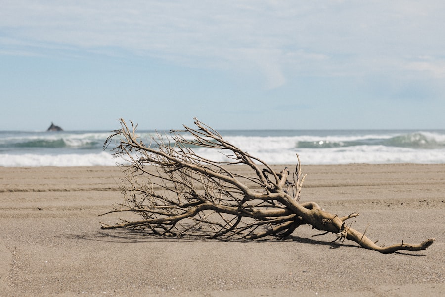 Photo shame resilience framework