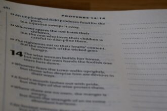 Photo traditional lists