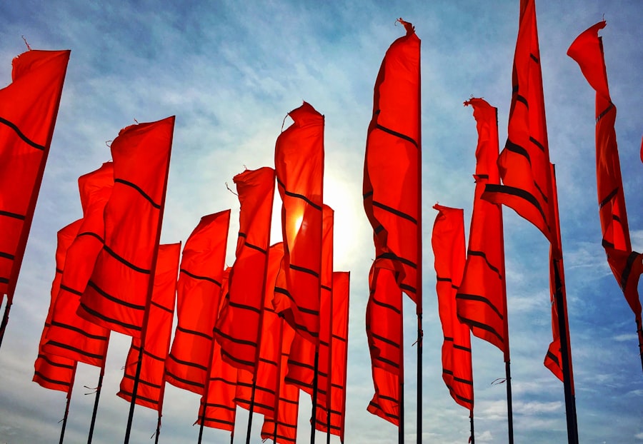 Photo resentment flags