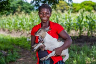 Photo grit resilience