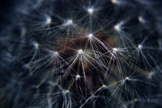 Photo environment design