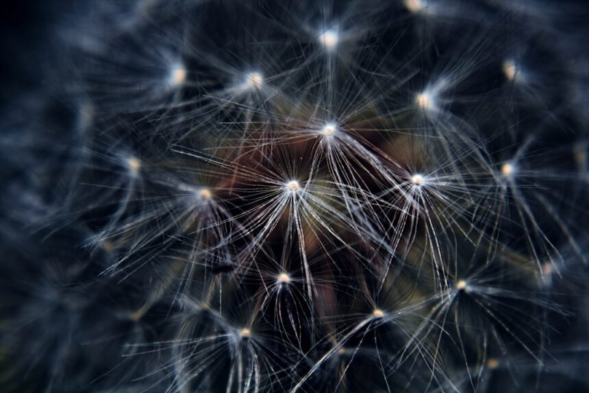 Photo environment design