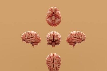 Photo nervous system