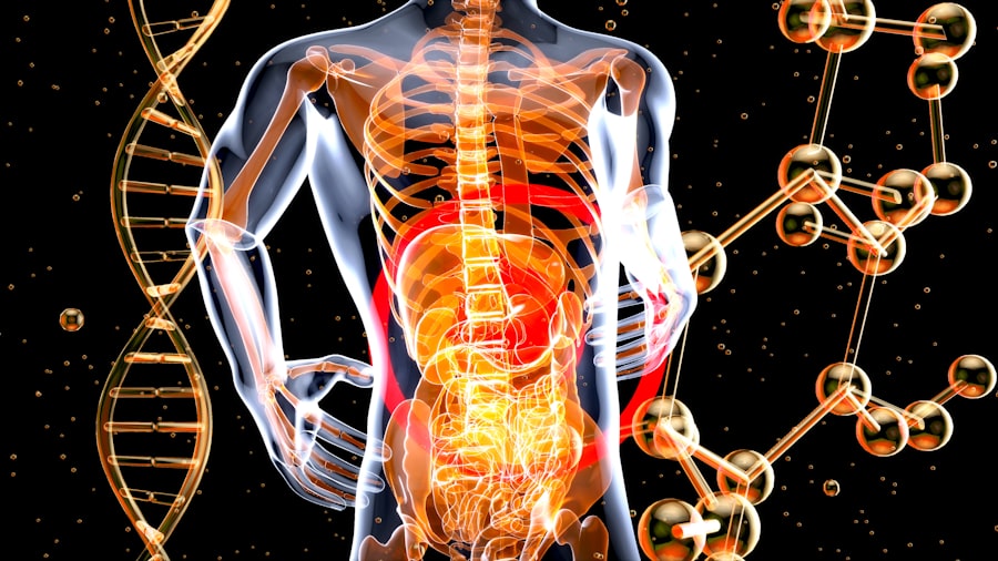 Photo nervous system regulation