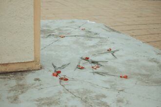 Photo grounding techniques