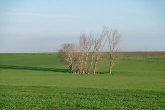 Photo boundary setting