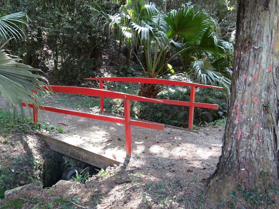 Photo discovery call guardrails