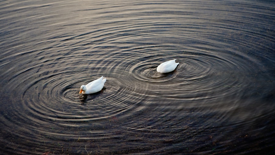 environmental design