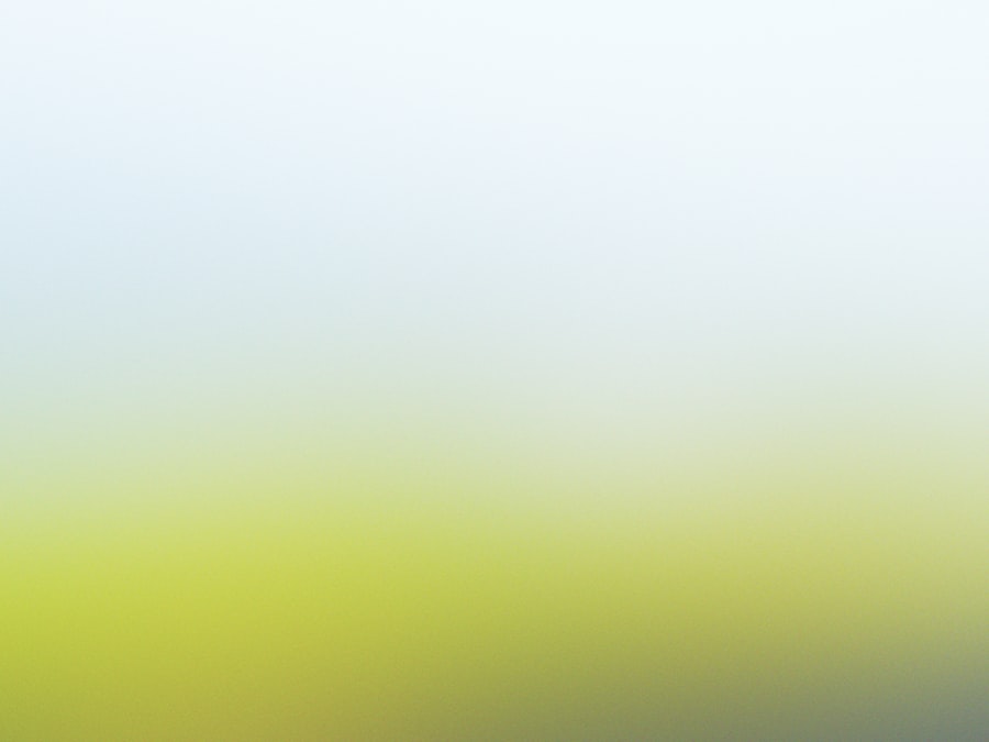 daily reset protocol