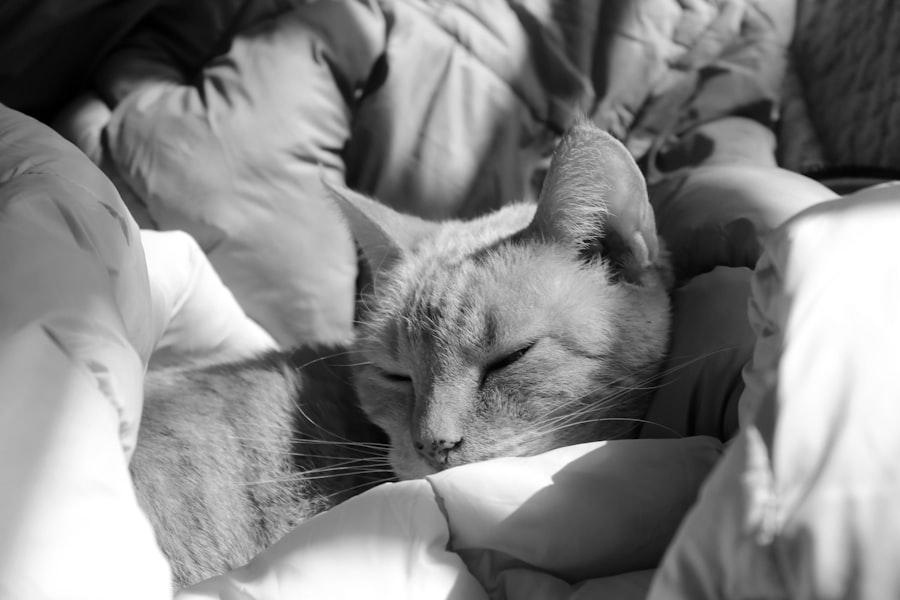 grayscale