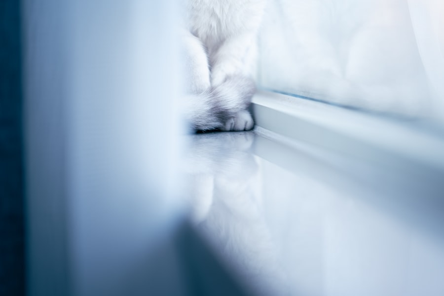 shift sleep window