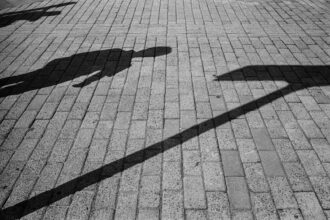 Photo narcissists, shadow work
