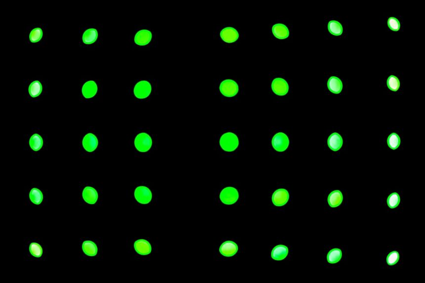 Photo binary outputs
