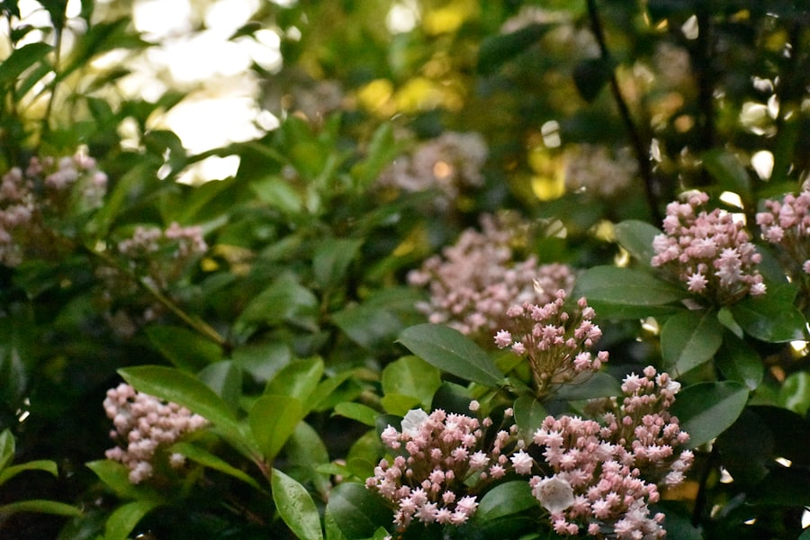 Photo self compassion