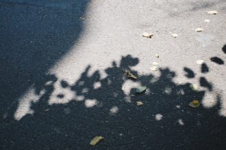 Photo jungian shadow