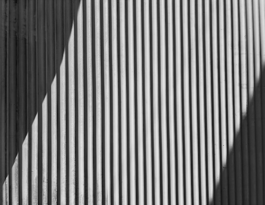 Photo identity lines