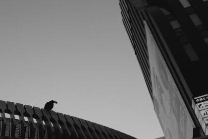 Photo perfectionism cycle