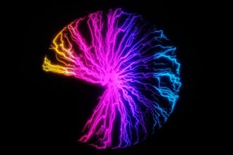 Photo amygdala prefrontal cortex threat