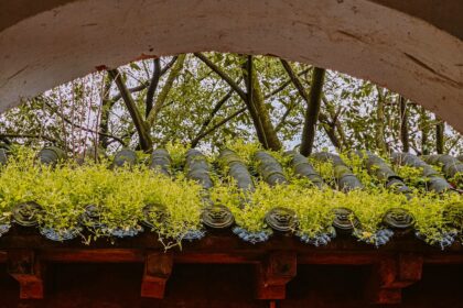 Photo environmental design