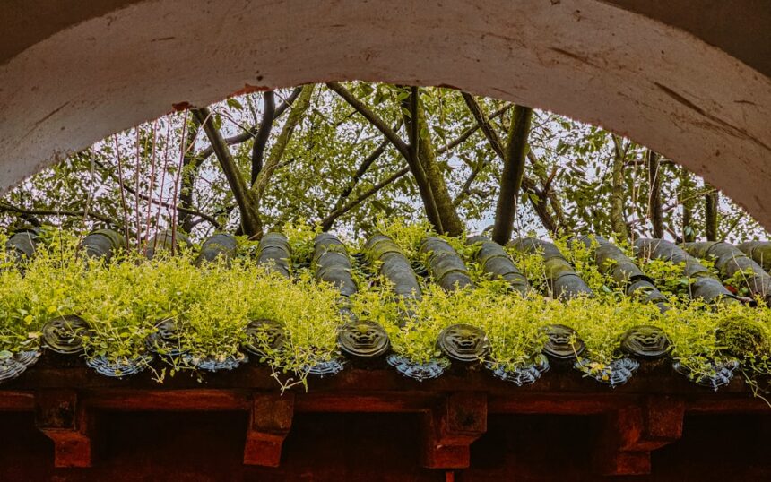 Photo environmental design