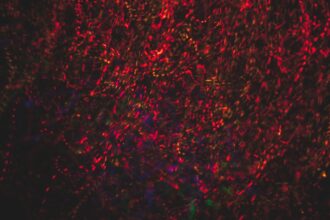 Photo visibility triggers amygdala threat response