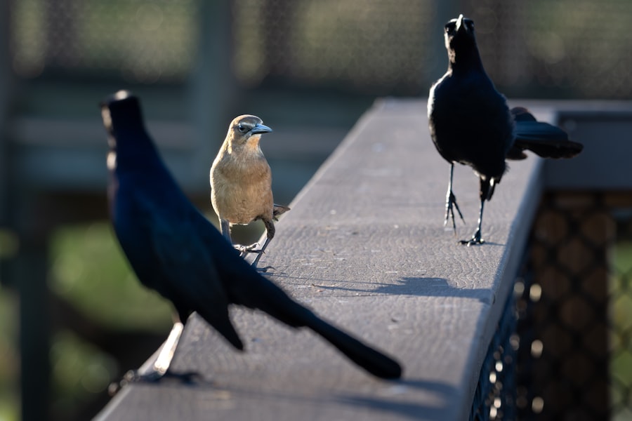 Photo overcoming fear