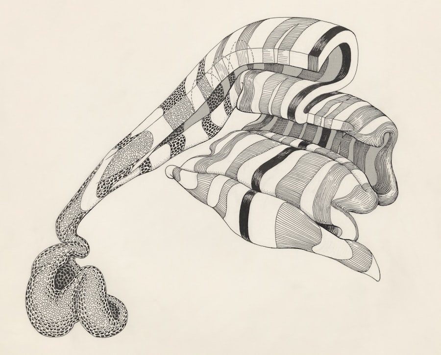 nervous system