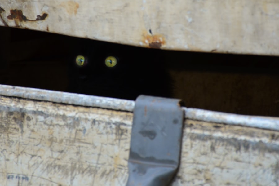 fear of being seen