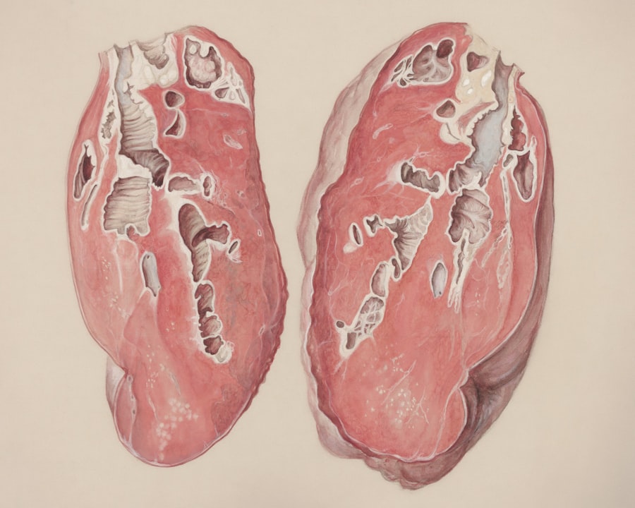 biological levers