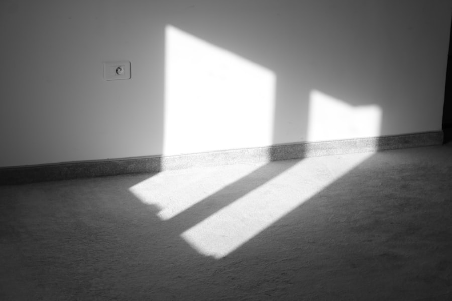 jungian shadow theory