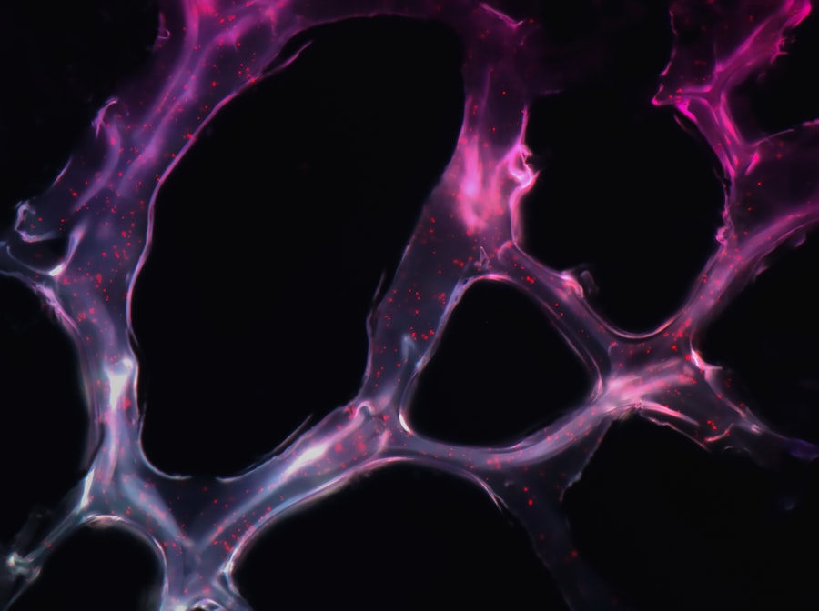 protect synaptic plasticity