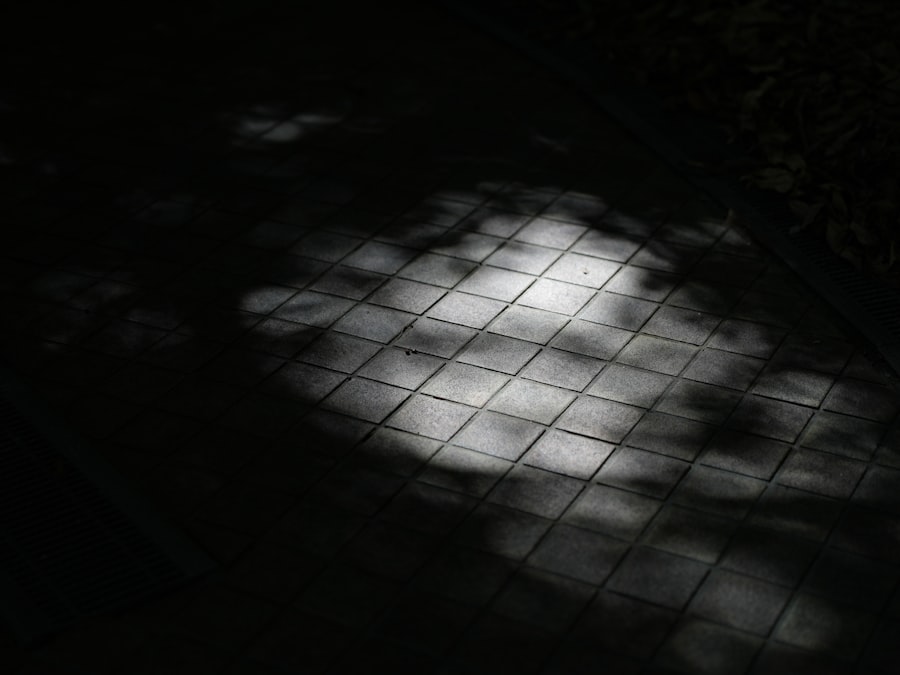 jungian shadow