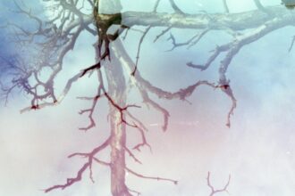 Photo nervous system regulation