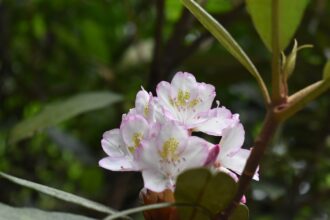 Photo self compassion