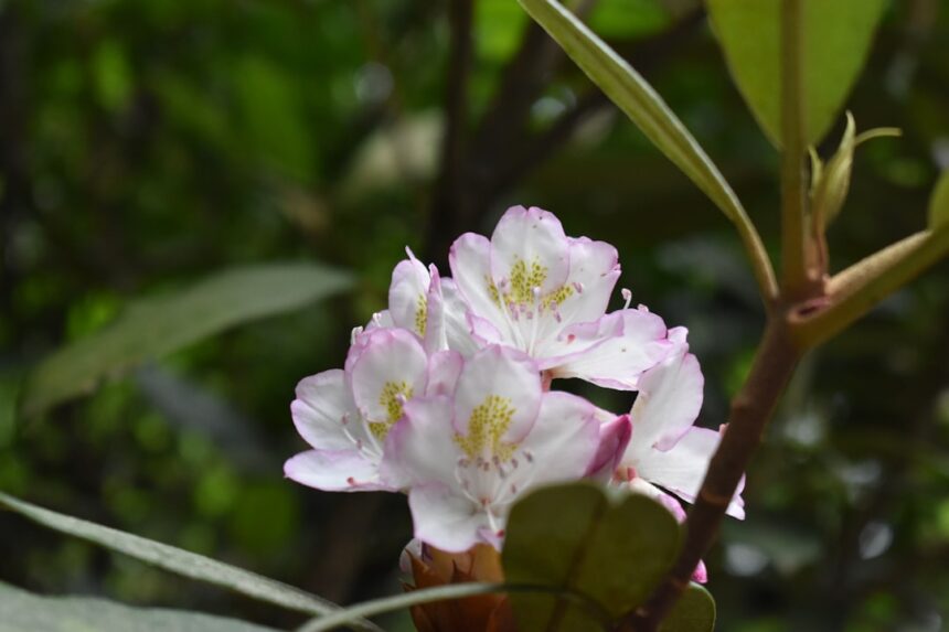 Photo self compassion