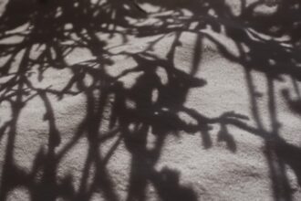 Photo jungian shadow theory