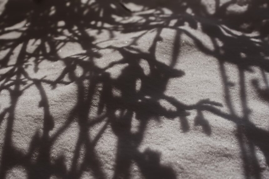 Photo jungian shadow theory