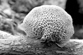 Photo environment design