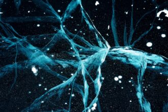 Photo protect synaptic plasticity