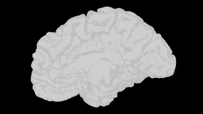 Photo brain scans