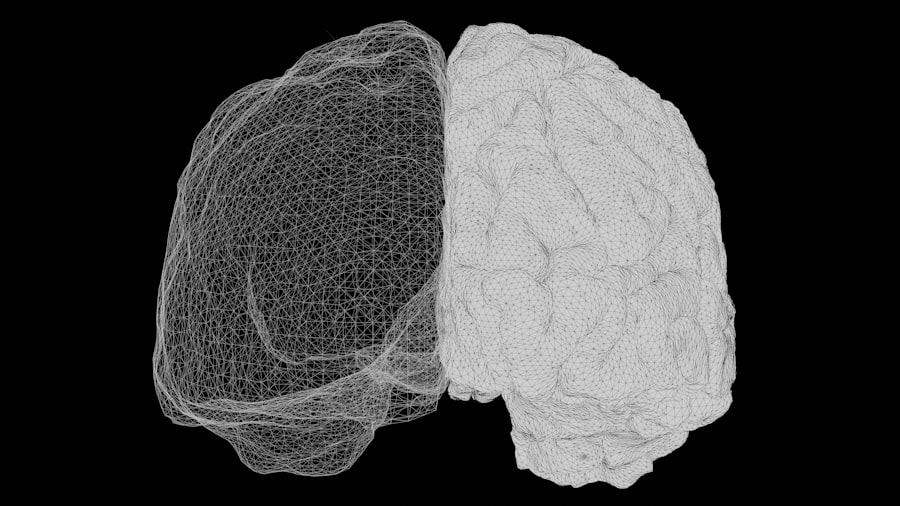 Photo brain scans