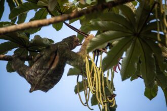 Photo sleep protection