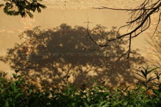 Photo jungian shadow