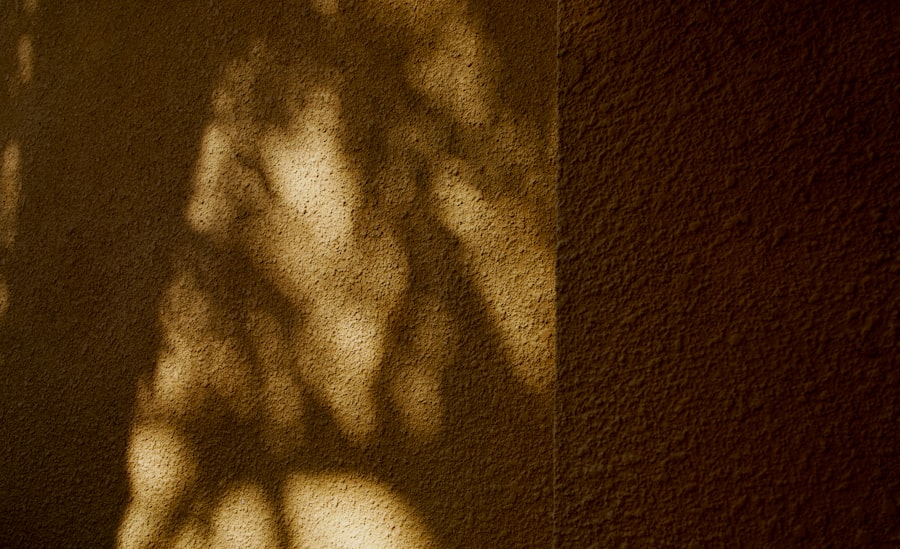 Photo jungian shadow