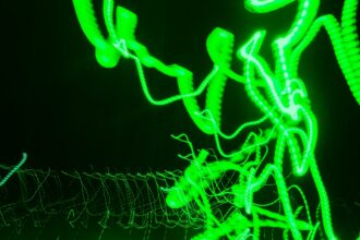 Photo nervous system hacks