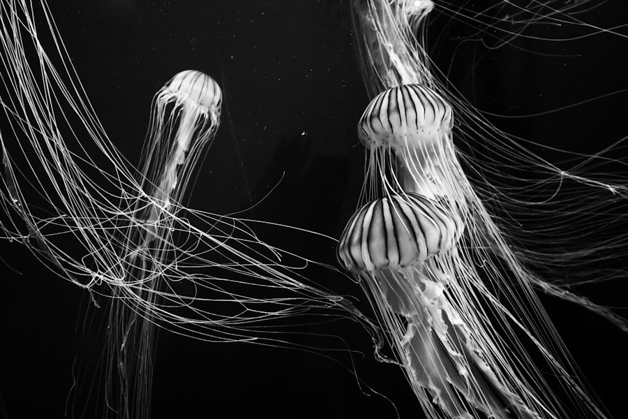Photo resilient nervous system